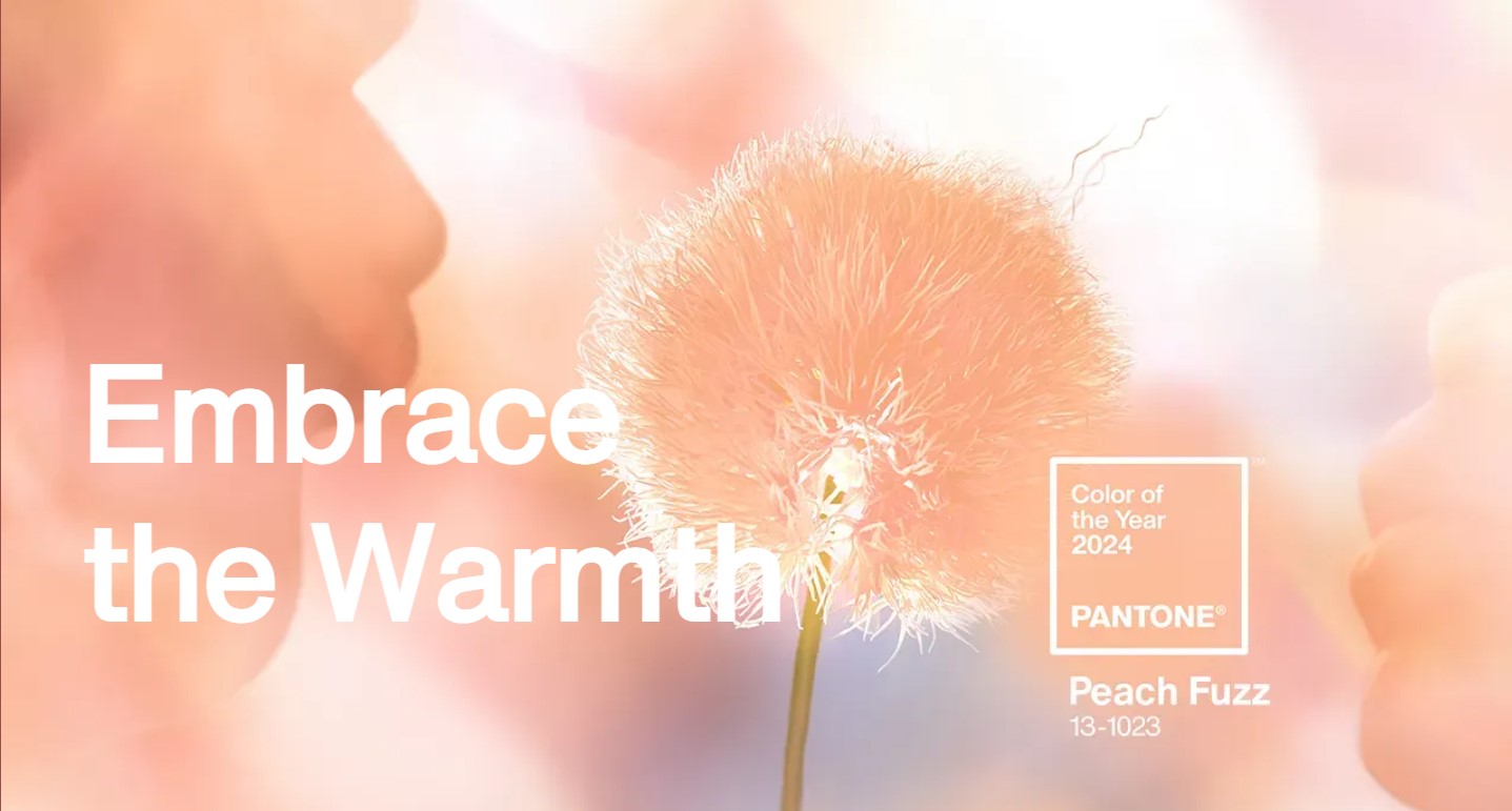 Pantone Colour Institute Selects The Colour Of 2024 Peach Fuzz   Embrace The Warmth 